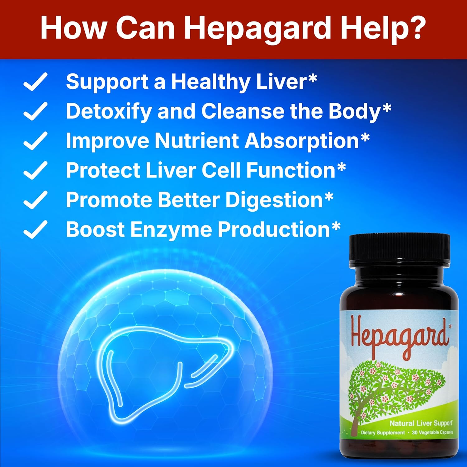 Natural Liver Support Supplement 30 Capsules