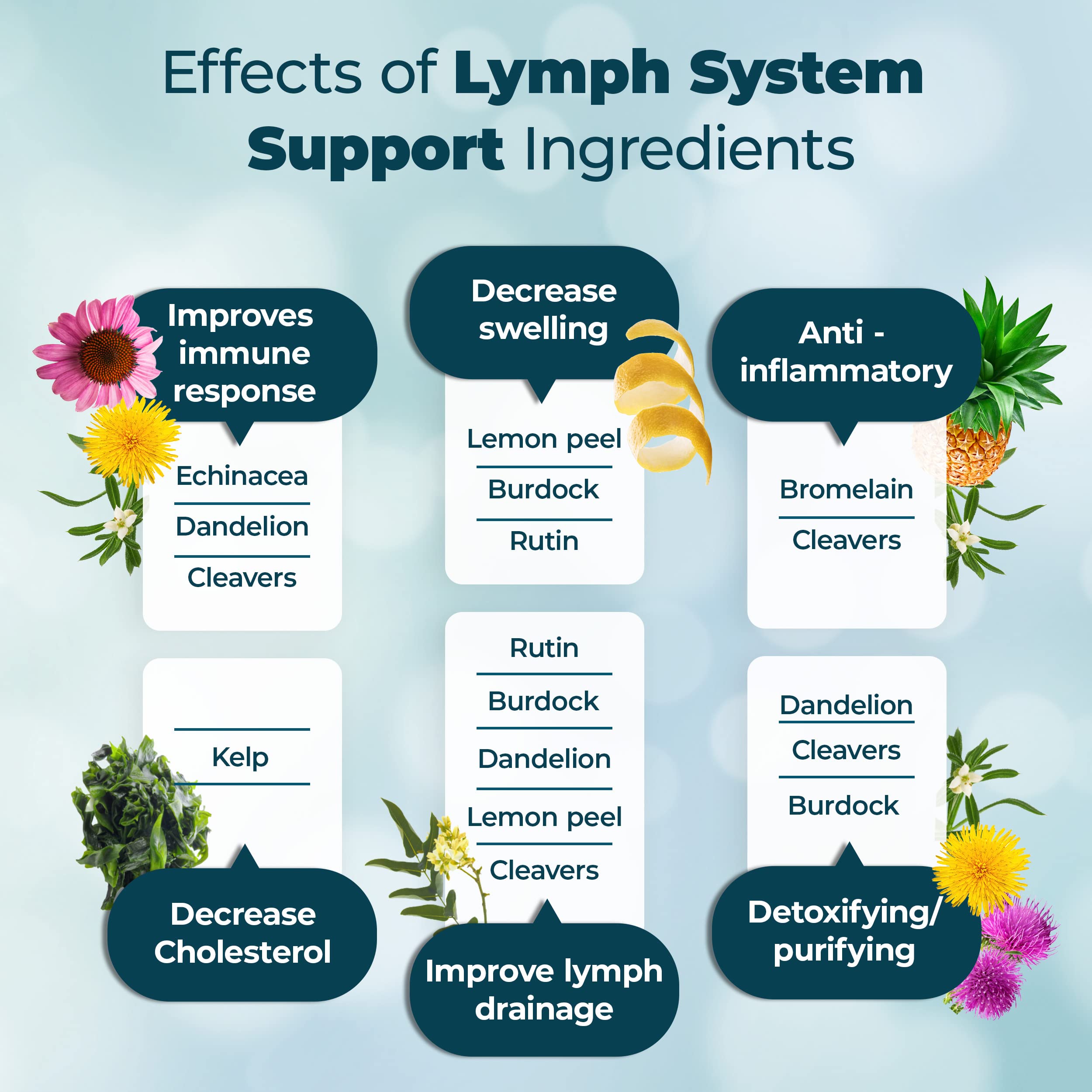 PureHealth Research Lymph System Capsules - Reduces swelling, lymphatic support